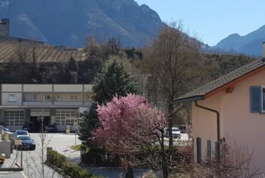 SIERRE - A VENDRE - APPT DE 4.5 PCES + PL. DE PARC EXT. - fr 495'000.00