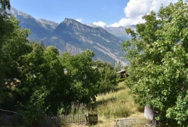 A VENDRE - L'ARBAREY - MAYENS DE SAXON - MAISON 4 pces + RURAL - 3573 m2