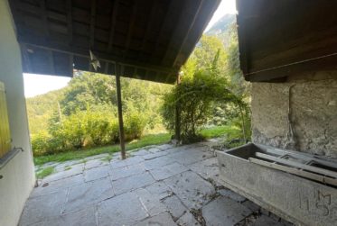 A VENDRE - L'ARBAREY - MAYENS DE SAXON - MAISON 4 pces + RURAL - 3573 m2